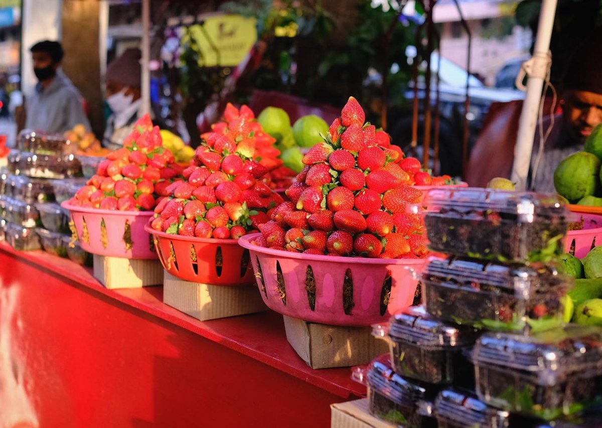 Strawberry Festival at Mapro Garden